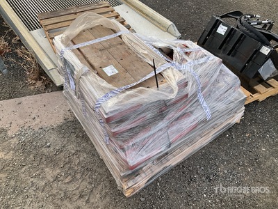 Quantity of (12) Skates