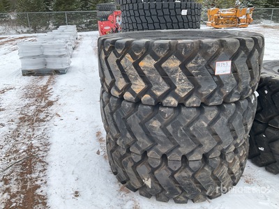 Quantity of Wheel Loader Neumáticos