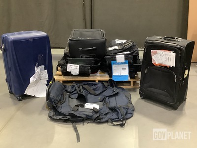 (10) Assorted Luggage Bags