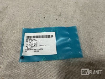 (621) Transpec Fasteners 13001782 Plain Castellated Hexagon Nuts