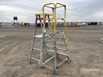 Quantity of (2) Platform Ladder