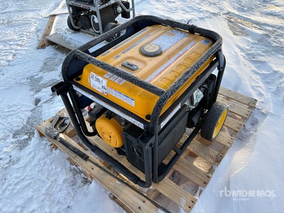 Firman tri-fuel 10000 Watt Groupe électrogène portable