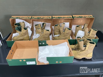 (66) Pairs of Danner Boots