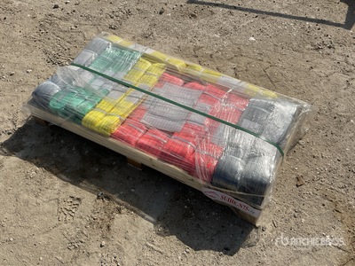 Quantity of (22) 2026 Suihe WS22 Webbing Sling (Unused)