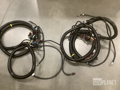 (4) Longhorn Regional 3820962C91 Wiring Harnesses
