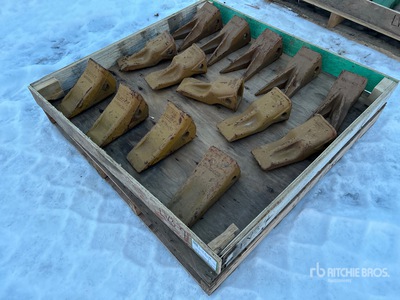 Quantity of (14) Bucket Teeth (Unused)