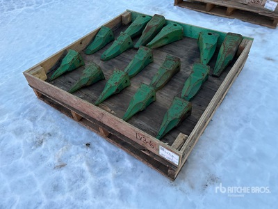 Quantity of (15) Bucket Teeth (Unused)