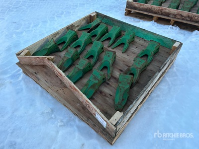 Quantity of (15) Bucket Teeth (Unused)