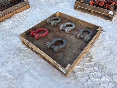 Quantity of Crosby シャックル