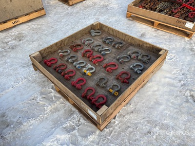 Quantity of Crosby シャックル