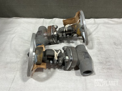 (2) 803-2177525 Globe Valves