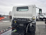 General Appearance with Paint