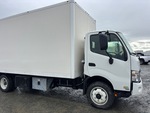 General Appearance with Paint