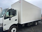 General Appearance with Paint