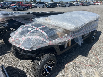 2026 SDGRAND SDLGC100 Electric Golf Cart (Unused)