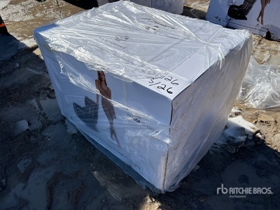 2026 SDGRAND IRLMC Massage Chairs (Unused)