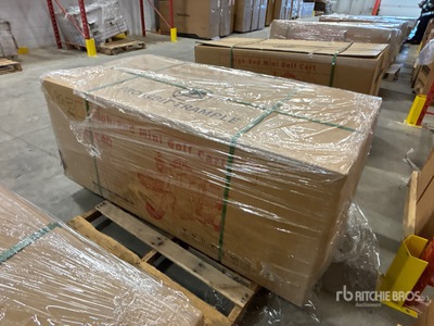 2026 SDLANCH IRGC40 3 TT E-Trike Mini Golfwagentje (Unused)