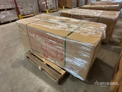 2026 SDLANCH IRGC40 3 TT E-Trike Mini Golfwagentje (Unused)