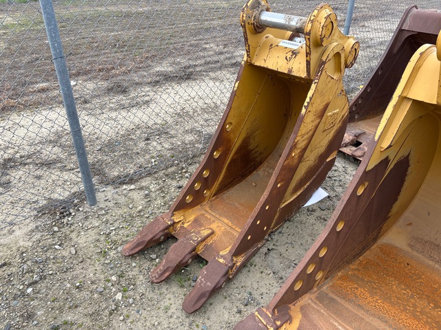 Cat  24 in Digging Excavator Bucket