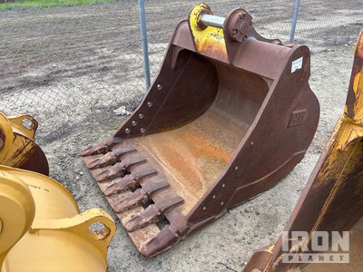 Cat  36 in Excavator Bucket