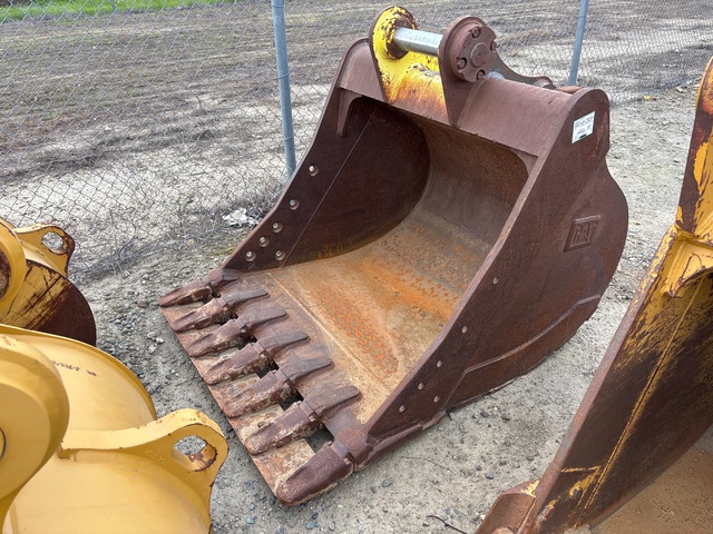 Cat  36 in Excavator Bucket
