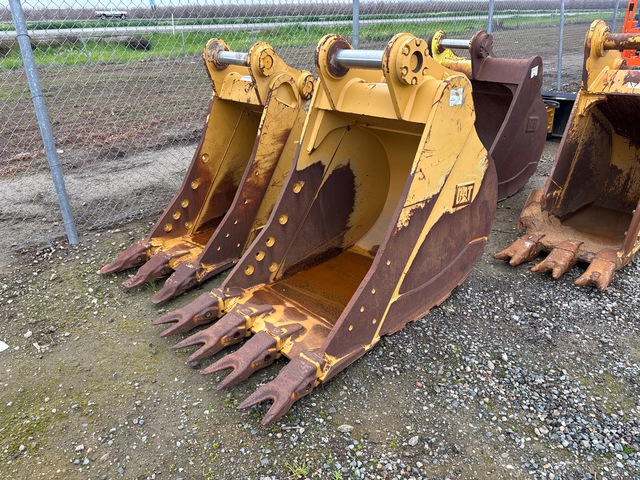 Cat 36 in Digging Excavator Bucket