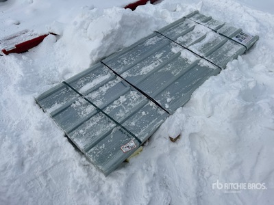 Quantity of (30) 35in x 7.87ft Clear Polycarbonate Roof Panel (Unused)