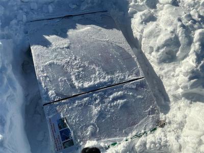 Quantity of (40) Clear Multi-wall Polycarbonate Panel (Unused)