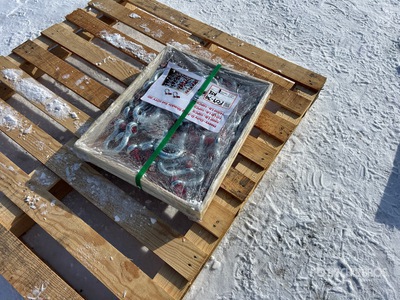 Quantity of Heavy Duty D-Ring قيد/قفل (Unused)