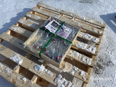 Quantity of Heavy Duty D-Ring قيد/قفل (Unused)