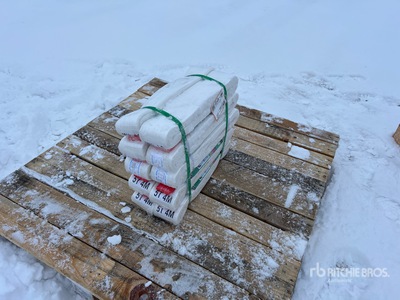 Quantity of (20) Heavy Duty Industrial Polyester Lifting Strap 3.9 In X 13 Ft 11000 Lbs (Unused)