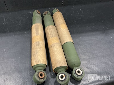 (20) 12441168 Shock Absorbers