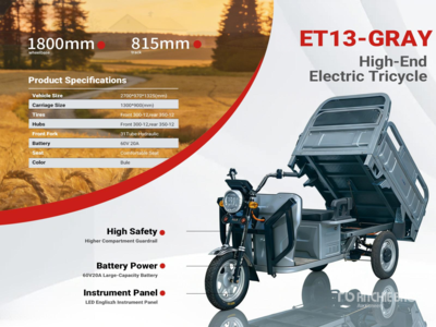 2026 SDGRAND ET13-GRAY 3 TT E-Trike Mini Scooter (Unused)