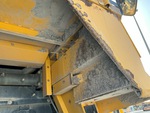 General Appearance with Paint