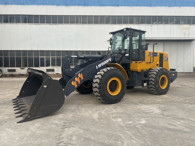 2018 XCMG LW600FV Wheel Loader (Reconditioned)