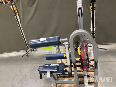 Strive Low Back Extension Machine