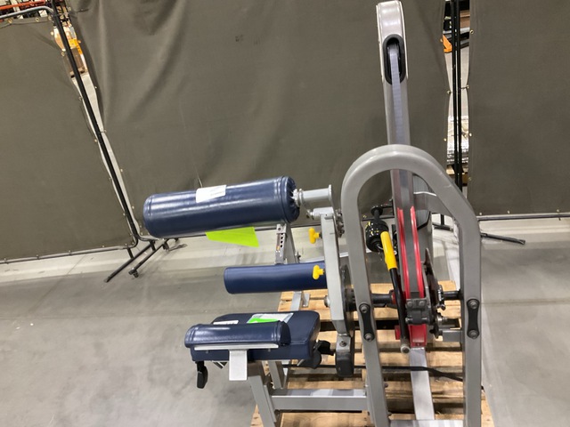 Strive Low Back Extension Machine Strive Low Back Extension Machine