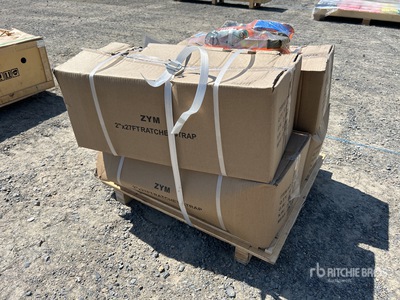 Quantity of SKLP Ratchet Straps Varios, tienda, almacen, consumidor (Unused)