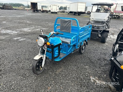 2026 SDGRAND IRET13 3 TT E-Trike Utility Cart (Unused)