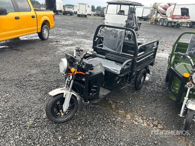 2026 SDGRAND IRET13 3 TT E-Trike Utility Cart (Unused)