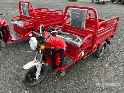 2026 SDGRAND IRET13 3 TT E-Trike Utility Cart (Unused)