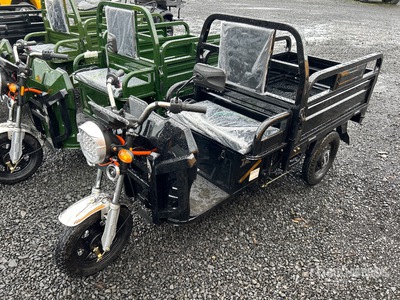 2026 SDGRAND IRET13 3 TT E-Trike Utility Cart (Unused)