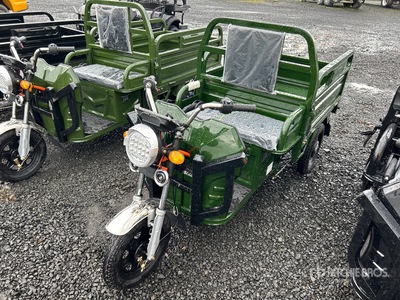2026 SDGRAND IRET13 3 TT E-Trike Utility Cart (Unused)