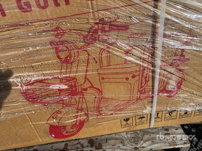 2026 SDGRAND IRGC40  3 TT E-Trike Scooter (Unused)