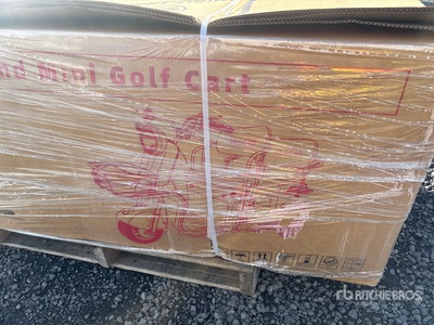 2026 SDGRAND IRGC40  3 TT E-Trike Scooter (Unused)