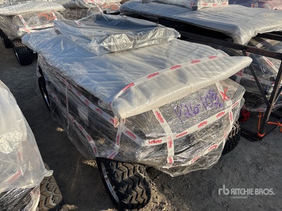 2026 SDGRAND SDLGC80 Electric Golf Cart (Unused)