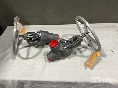 (2) 803-2177525 Globe Valves