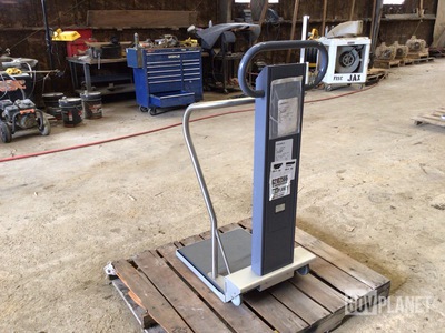 Scale-Tronix Patient Scale