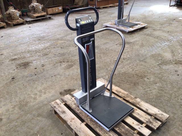 Scale-Tronix Patient Scale