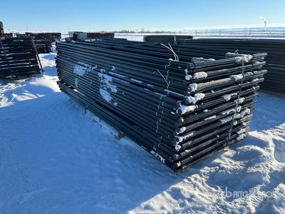 Quantity of (24) 2026 BYT RG12 12 ft x 4 ft Steel Ranch Cancello per recinto bestiame (Unused)